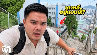 เกาหลี… ยิ่งถูก ยิ่งทรมาน?