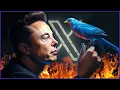 The Rebrand That Killed Twitter