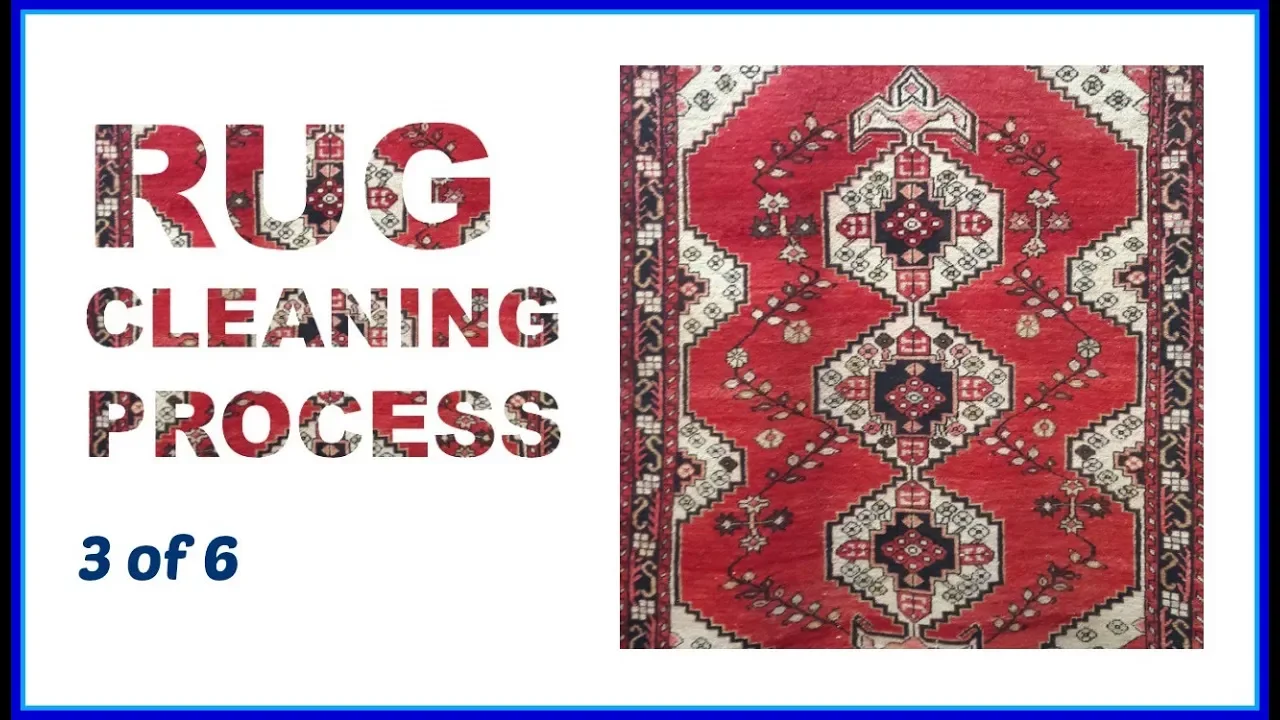 Oriental Rug Cleaning Rochester NY - Our Process - 3 of 6