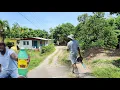 Download Lagu i use one ginger beer on do this to my lane cleaning an cutting tree my regular routine #clean 