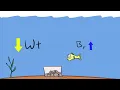 What Makes an Object Sink or Float Arbor Scientific