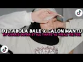 Download Lagu DJ TABOLA BALE X CALON MANTU IDAMAN STYLE TANTE V2 BY KHARIS SOPAN VIRAL TIKTOK TERBARU 2025 !!!