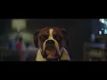 Lagu John Lewis Christmas Ad 2016 with Buster The Boxer Dog