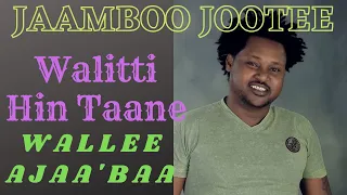 Jaamboo Jootee Walitti Hin Taane Oromo Music 