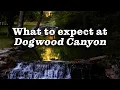 What to Expect at Dogwood Canyon Nature Park