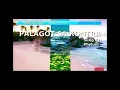 10511 PALAGOT SA KONTRA - Phylum