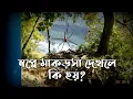 Download Lagu স্বপ্নে মাকড়সা দেখলে কি হয় | স্বপ্নে মাকড়সার জাল দেখলে কি হয় | shopne makrosha dekhle ki hoy