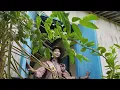 Download Lagu Marabahan Kota Bahalap