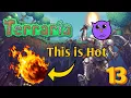 Meteor Moron - Terraria 13