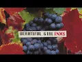 INXS - Beautiful Girl (HD)