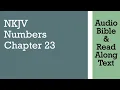 Numbers 23 - NKJV