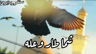 تصميمي  حالات واتساب  الملا باسم الكربلائي  طير انا بغصن  وانتا العش الي  اتمنا يعجبكم    دندنها