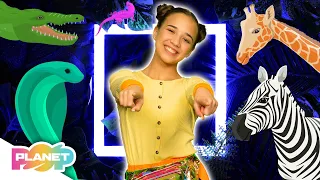 Let S Go To The Zoo Song ESL Songs English For Kids Planet Pop Learn English 