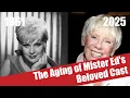 The Aging of Mister Ed s Beloved Cast