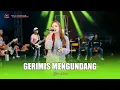 GERIMIS MENGUNDANG - EREN INTAN - OM SAVANA SAKJOSE - BSB VAGANZA VOL.1