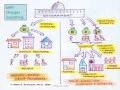 WI Module 2 Introduction to Self Direction