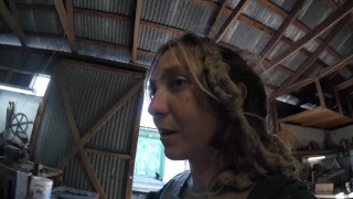 Episode 342 – Musical Day –  Life of a Gypsy Day 238