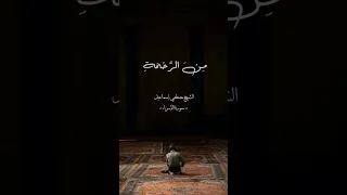 الشيخ مصطفى اسماعيل نهاوند 