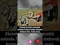 Download Lagu Ekmek herkese yetecekti aslında #keşfet #ytviral #automobile #öneçıkar #tutorial #shorts #emek