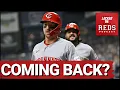 ESSENTIAL Cincinnati Reds FAILURE Without Spencer Steer HIGHLIGHTS His Hidden VALUE