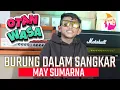 Download Lagu BURUNG DALAM SANGKAR || LAGU DISCO REMIX DANGDUT || OTAN WASA || LAGU ENDE LIO TERBARU