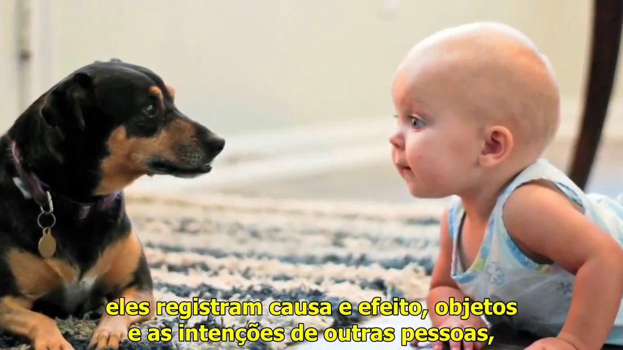 Como funciona a mente - Linguística: uma Janela para Entender o Cérebro - Prof. Steven Pinker