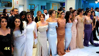 Imad Selim عماد سليم Miaser Ceylan Starja Part 02 4K Kurdische Hochzeit By DilocanPro  Imad Selim عماد سليم Miaser Ceylan Starja Part 02 4K Kurdische Hochzeit By DilocanPro