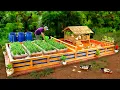 Lagu 3in1 design! Build aquarium jointed with fresh vegetables and duck coop
