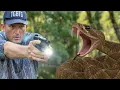 Snakes Were Everywhere