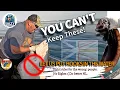 Cant Keep That So Many Rules
