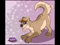Dog TF TG