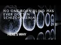 Lagu No One Born Blind Has Ever Developed Schizophrenia. Here’s Why.