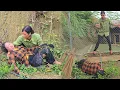 Download Lagu Fisherman finds single mother lying motionless on the ground - ly tu tuc 