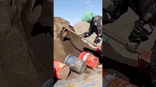                                                                                                 دندنها