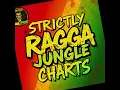 Download Lagu STRICTLY RAGGA JUNGLE CHARTS JUNE 2025