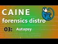 CAINE - 03