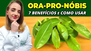 7 Benefícios da ORA-PRO-NOBIS - Para Que Serve e Como Usar (Substitui a Carne? Emagrece?)