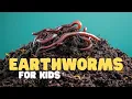 Earthworms for Kids Learn all about these slimy animals