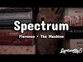 Spectrum ~ Florence + The Machine (lyrics)