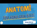 Download Lagu AUZEF ANATOMİ ÖZET KONU ANLATIMI TÜM ÜNİTELER #auzef #çocukgelişimi