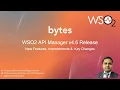 31 WSO2 API Manager v4 6 Release Highlights