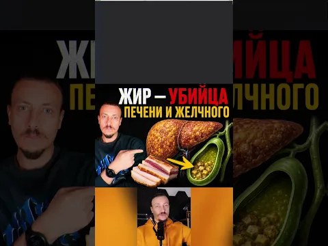 Жир — убийца печени и желчного пузыря