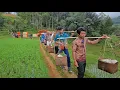 Download Lagu Hanya Di Jawa Barat. Uniknya Pernikahan Di Kampung, Suasana Jajap Pengantin Seperti Tahun 80 an