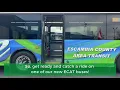 Have you seen our new ECAT buses