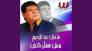                     مش هفكر تانى دندنها