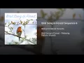 Bird Song in Forest Sequence 6