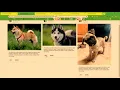 Advanced Angular Elements - Michael Madsen