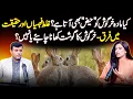 Do Female Rabbits Menstruate - emale Rabbit Heat Cycle Explained in Simple Words