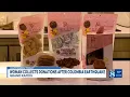 Woman collects donations after Colombia eart uake