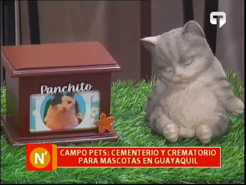 Campo Pets Cementario y crematorio para mascotas en Guayaquil